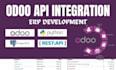 implement odoo API integration maintenance full stack odoo erp development