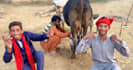 wish happy birthday video