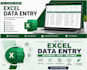 professional in excel data entry