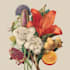 design vintage botanical flower artwork