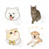 create a cute custom avatar from your photo