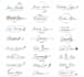 do professional handwriting, signature, script logo