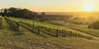 discuss about worldwide wines