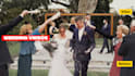 create color grading luts for you