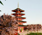 make stunning and realistic environments in 3d