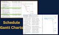 create a professional ms project gantt chart and schedule