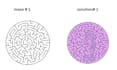 create maze puzzles in different shapes in 24 hours
