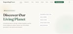 create custom coded responsive website from scratch