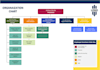 design professional organizational charts