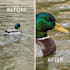 upscale and enhance your photo to 4k HD quality