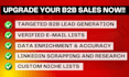 do data enrichment, generate targeted b2b and linkedin leads
