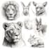 draw all kinds of animals