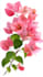 remove background from image transparent png