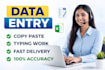 do date entry,copy paste typing work in 24 hours