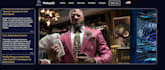 create a custom website