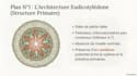 make easy biology notes,clear biology explanations