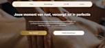 create a professional website and webdesign
