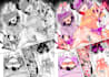 professionally colorize your manga and comics