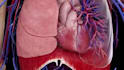 create simple 3d surgery and medical animation video