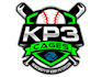 design luxury baseball logo with new concepts