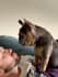 create pet ugc videos using my frenchy dog