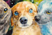 create a watercolor pet portrait