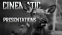 design cinematic presentations for you