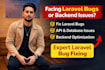 fix laravel bugs, errors, API issues fast with guaranteed solution