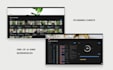 build a robust notion system and scalable business workflow