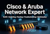 troubleshoot cisco and aruba network issues remotely