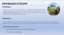 disign professional powerpoint presentation for your business