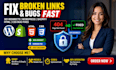 fix broken links errors 301 redirects fix wordpress shopify liquid HTML CSS bugs
