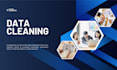 manage and clean large excel datasets accurately