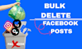 delete old social media posts and do a professional social media clean up