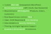 build custom headless wordpress rest API for your app or frontend