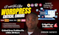 fix wordpress errors, setup, fix critical issue, broken websites in 24 hours