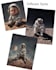 create custom ai images and illustrations