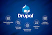 develop professional drupal website