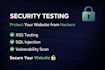 do web application security testing and vulnerability assessment