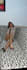 your latina model for content creation