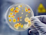 create professional biology and life sciences content