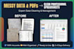 provide professional data management, CRM cleanup, and spreadsheet organization