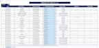 do excel data cleaning, formatting and data entry professionally