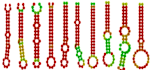 do mirna based genome silencing and visualization in r