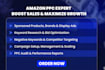 be your amazon PPC manager to increase sales and reduce acos