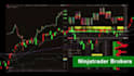 develop ninjatrader 8 strategy indicator and automated trading bot
