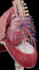 do 2d 3d medical surgery anatomy animation video and motion graphics