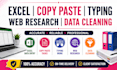 fast and accurate data entry and virtual assistant services