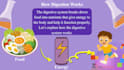 create educational content, presentations, lessons and training materials