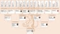 do expert french genealogy research for your family tree